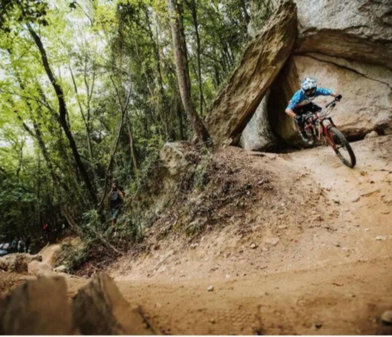 Nido Tra Gli Ulivi Apartment Finale Ligure Bagian luar foto